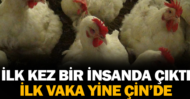 cin de ilk kez bir insana h10n3 kus gribi tanisi kondu